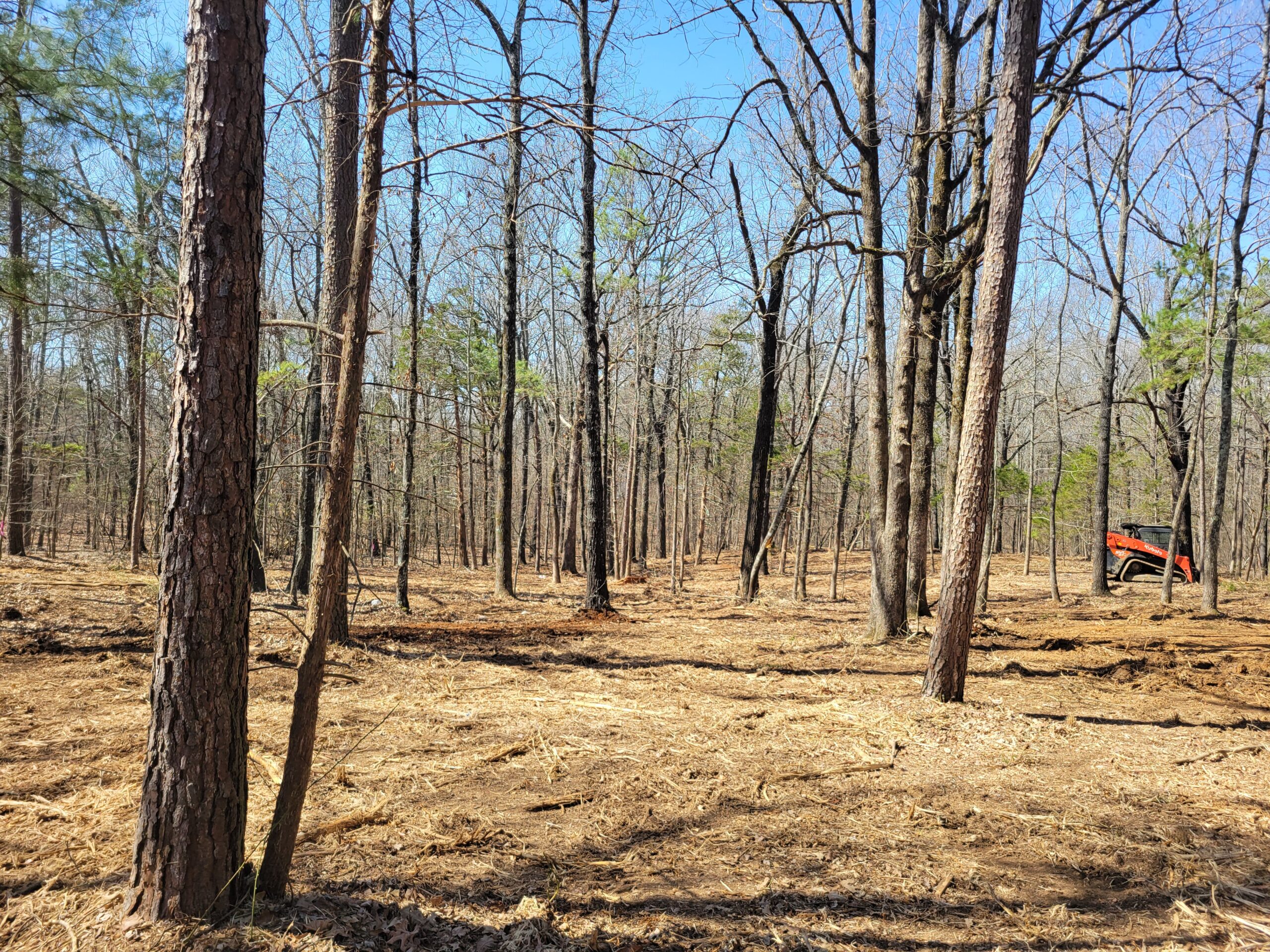 After - Mulch